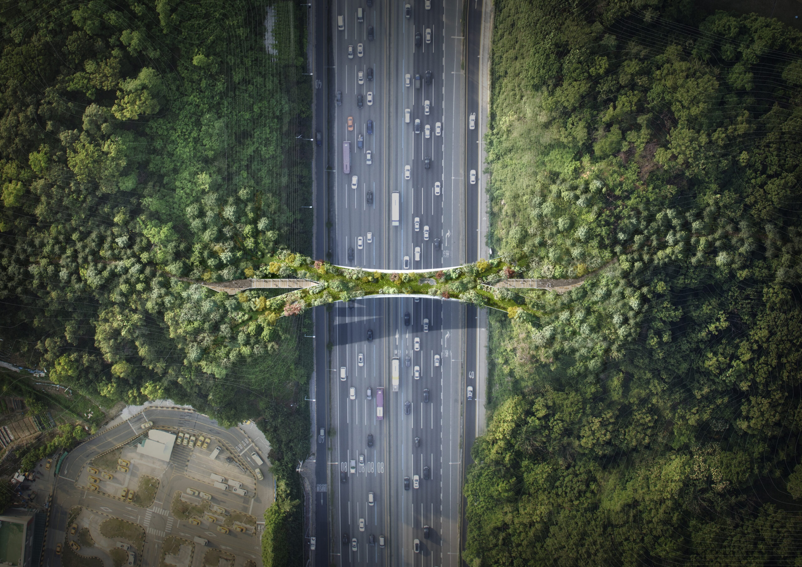 Cow Horse Bridge 5