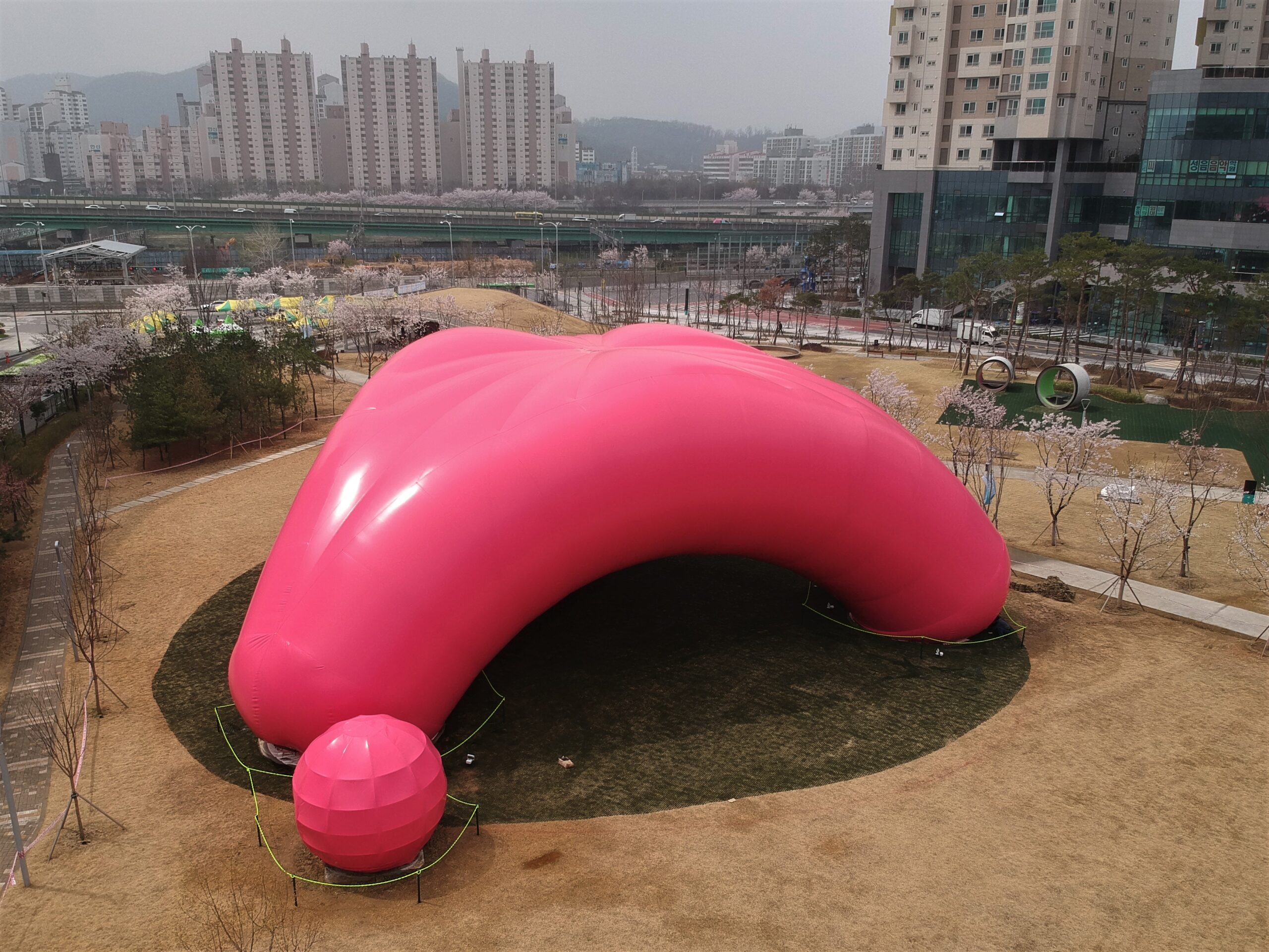Air Whale 4