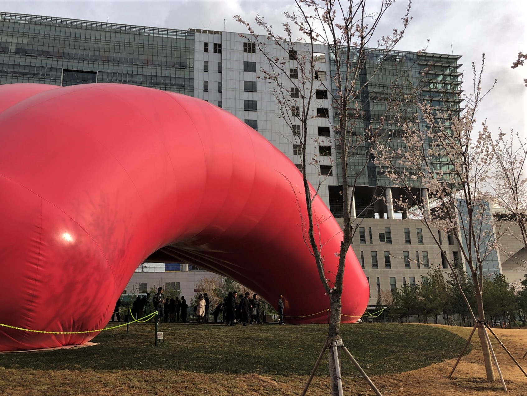 Air Whale 6