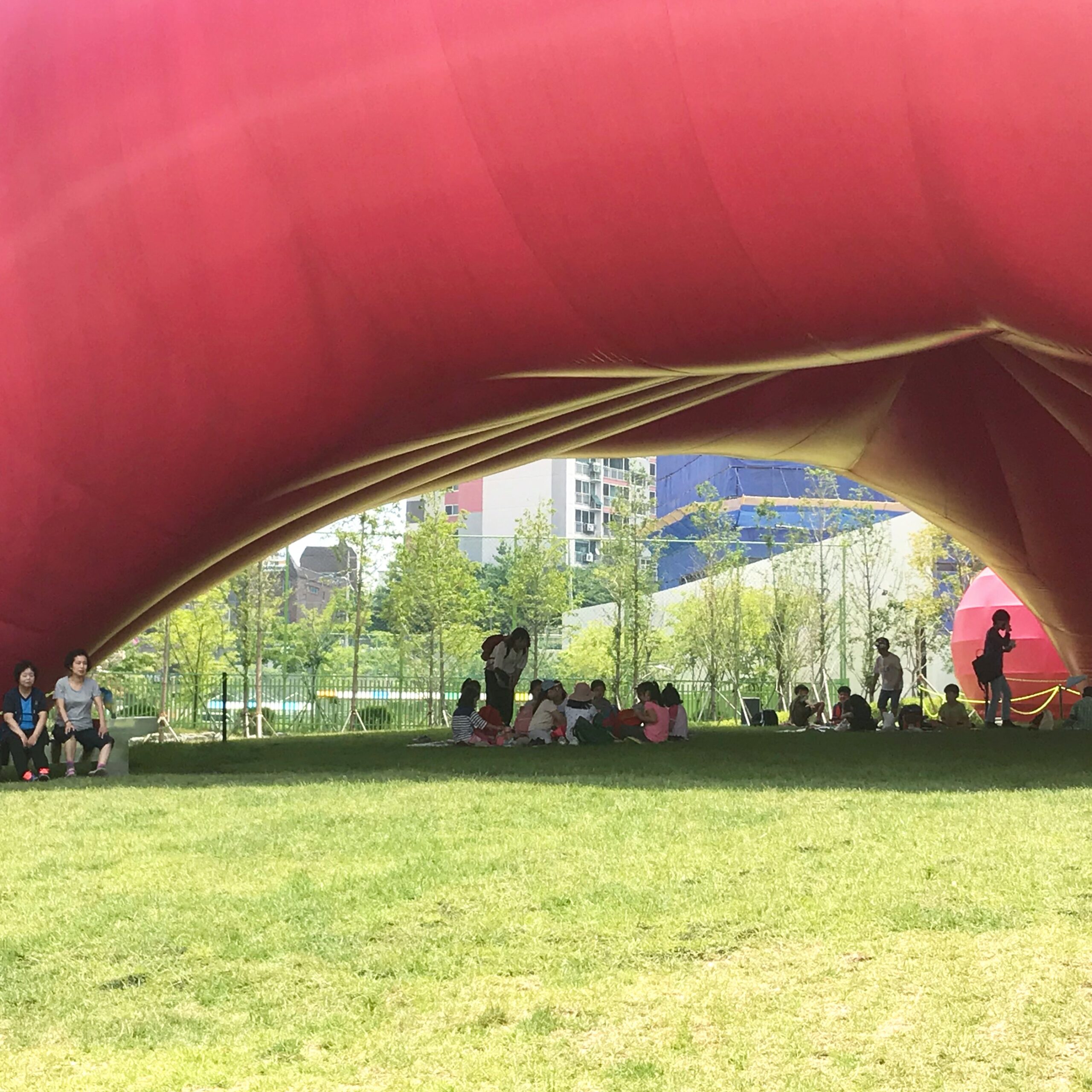 Air Whale 9